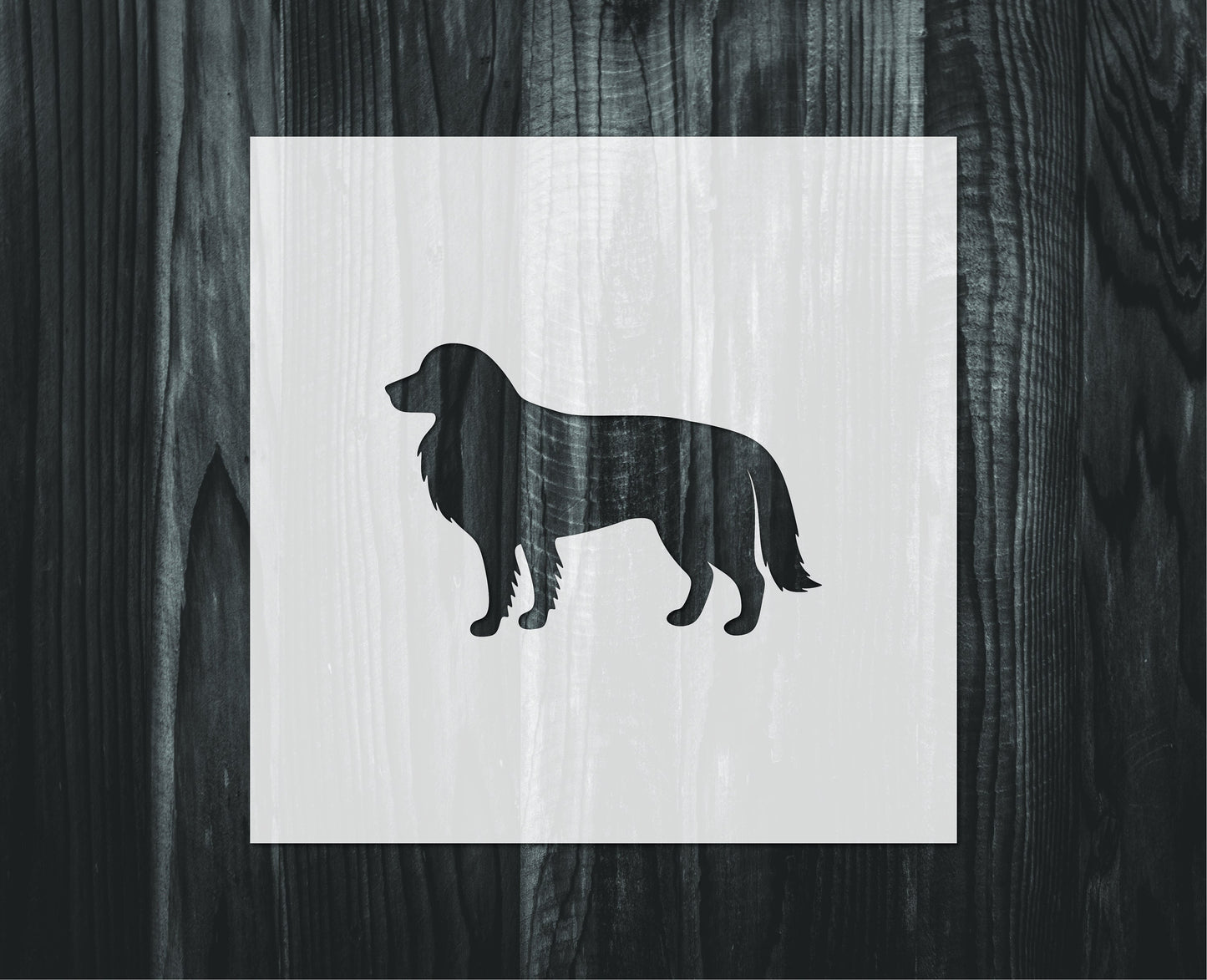 Border Collie stencil, Mylar reusable stencil, Stencil, FAST SHIPPING