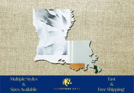 Decorative Louisiana Shaped Acrylic Mirror | Many Shapes Available