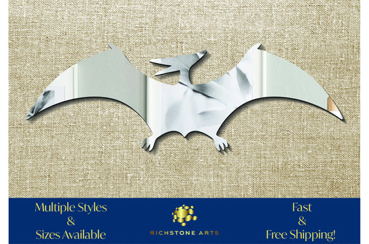 Decorative Pterodactyl Shaped Acrylic Mirror | Many Shapes Available