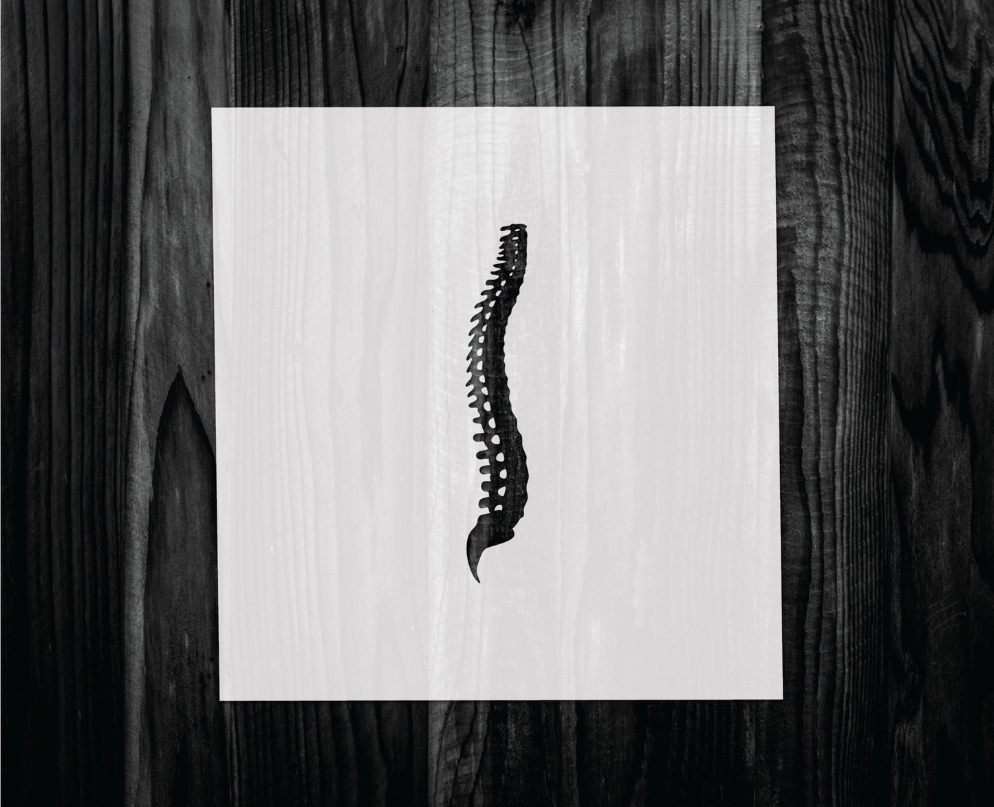 Spine Stencil, Mylar reusable stencil, Stencil, FAST SHIPPING