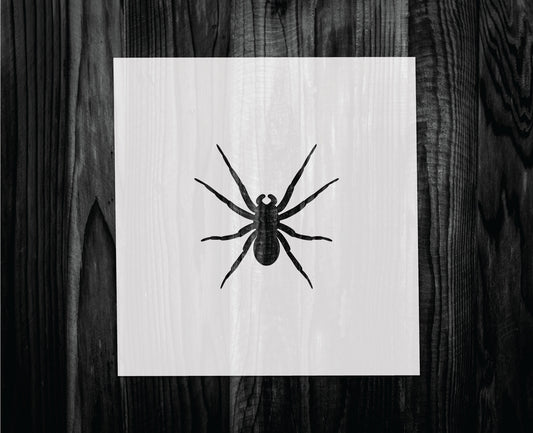 Spider Stencil, Mylar reusable stencil, Stencil, FAST SHIPPING