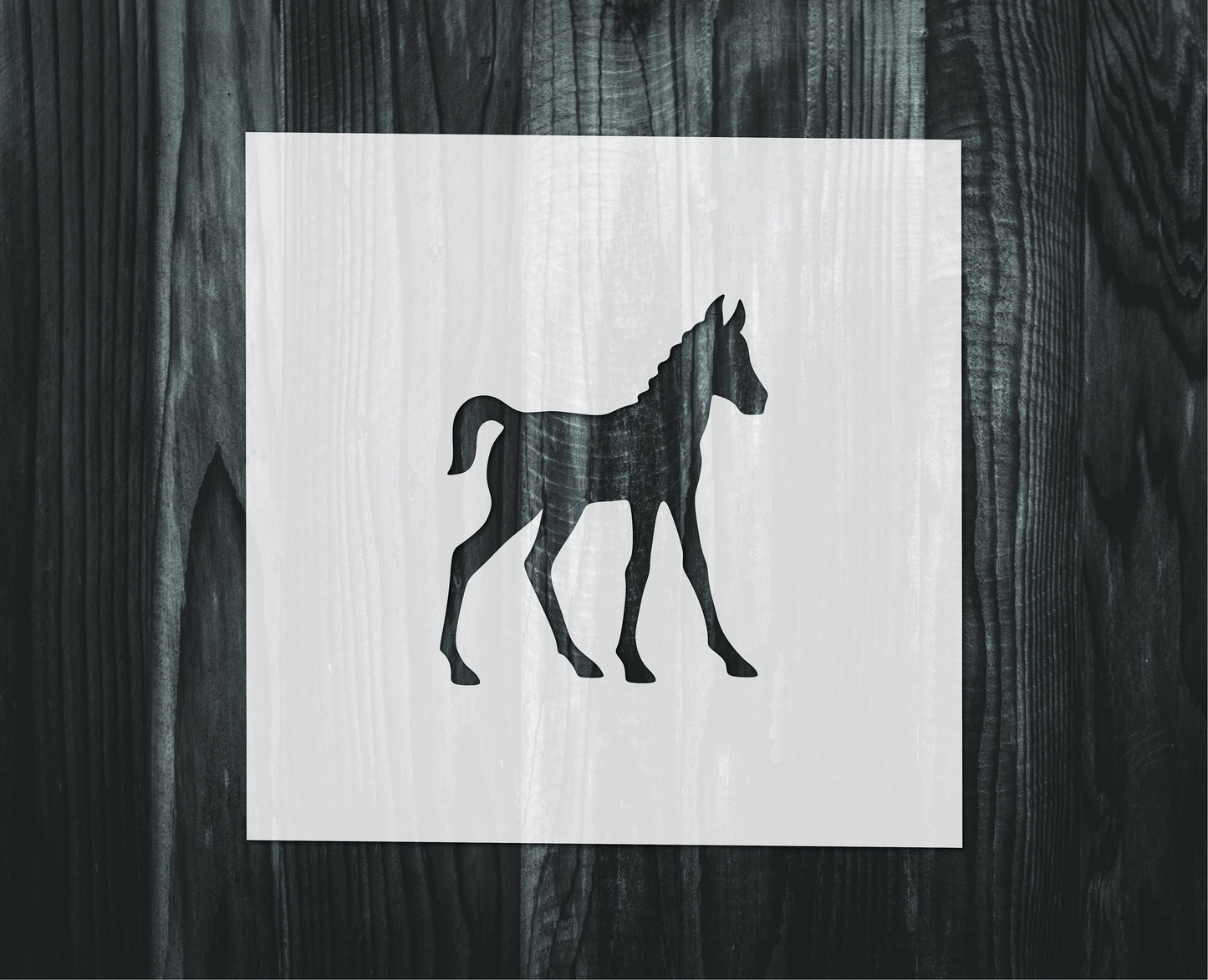 Foal Stencil, Mylar reusable stencil, Stencil, FAST SHIPPING