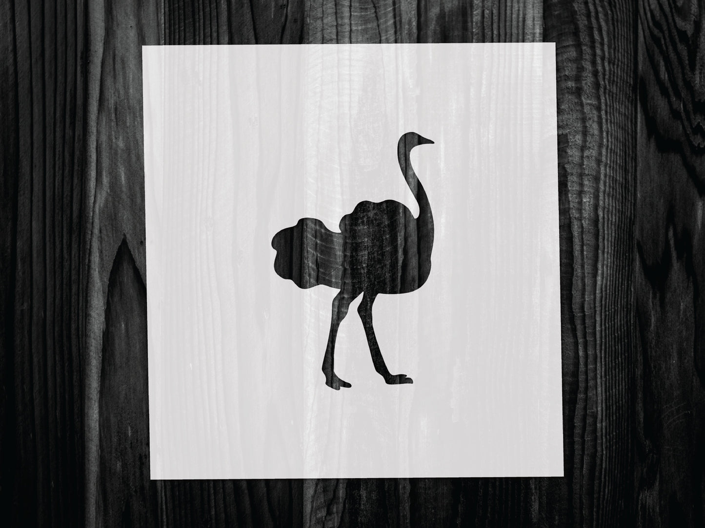 Ostrich Stencil, Mylar reusable stencil, Stencil, FAST SHIPPING