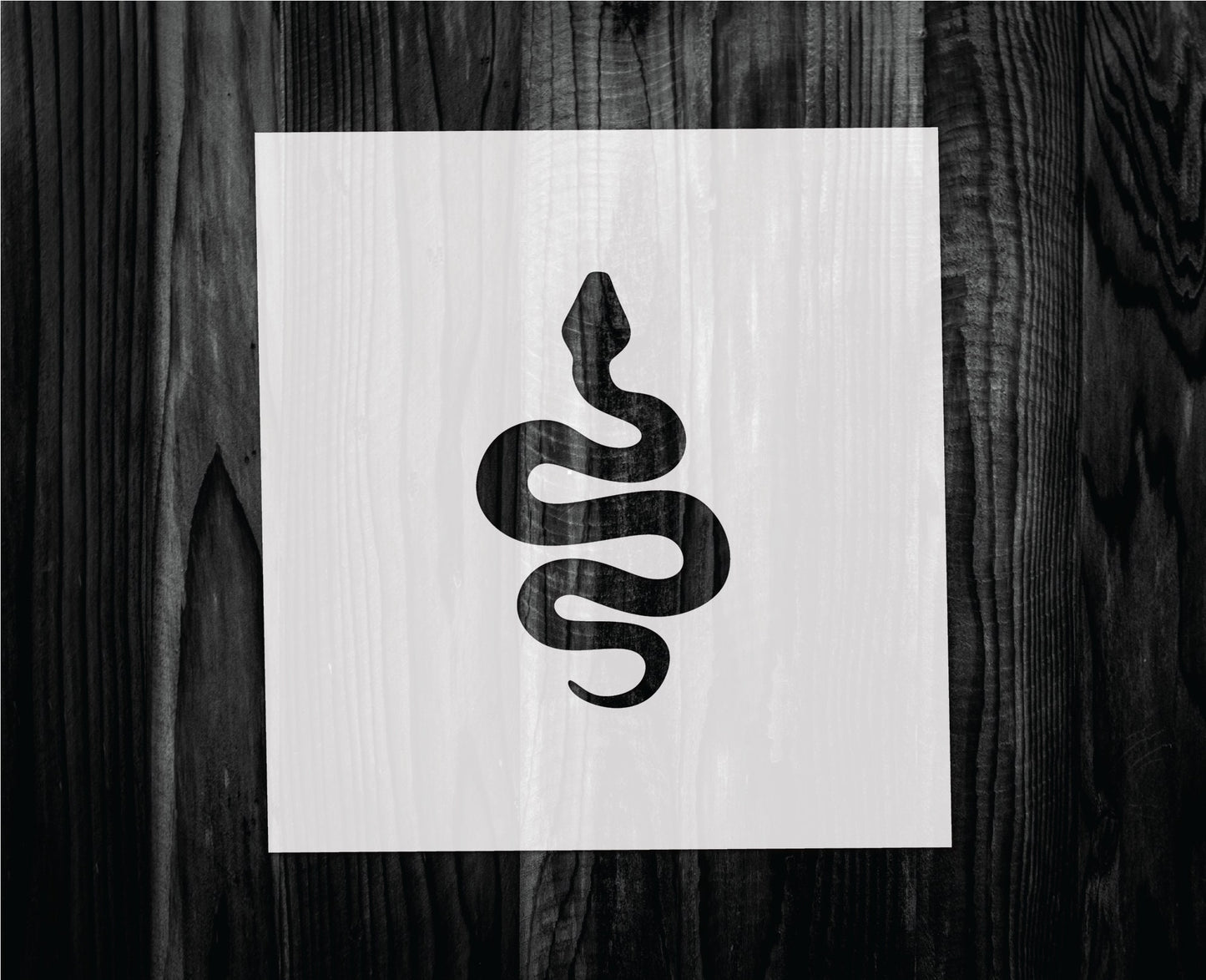 Snake Stencil, Mylar reusable stencil, Stencil, FAST SHIPPING