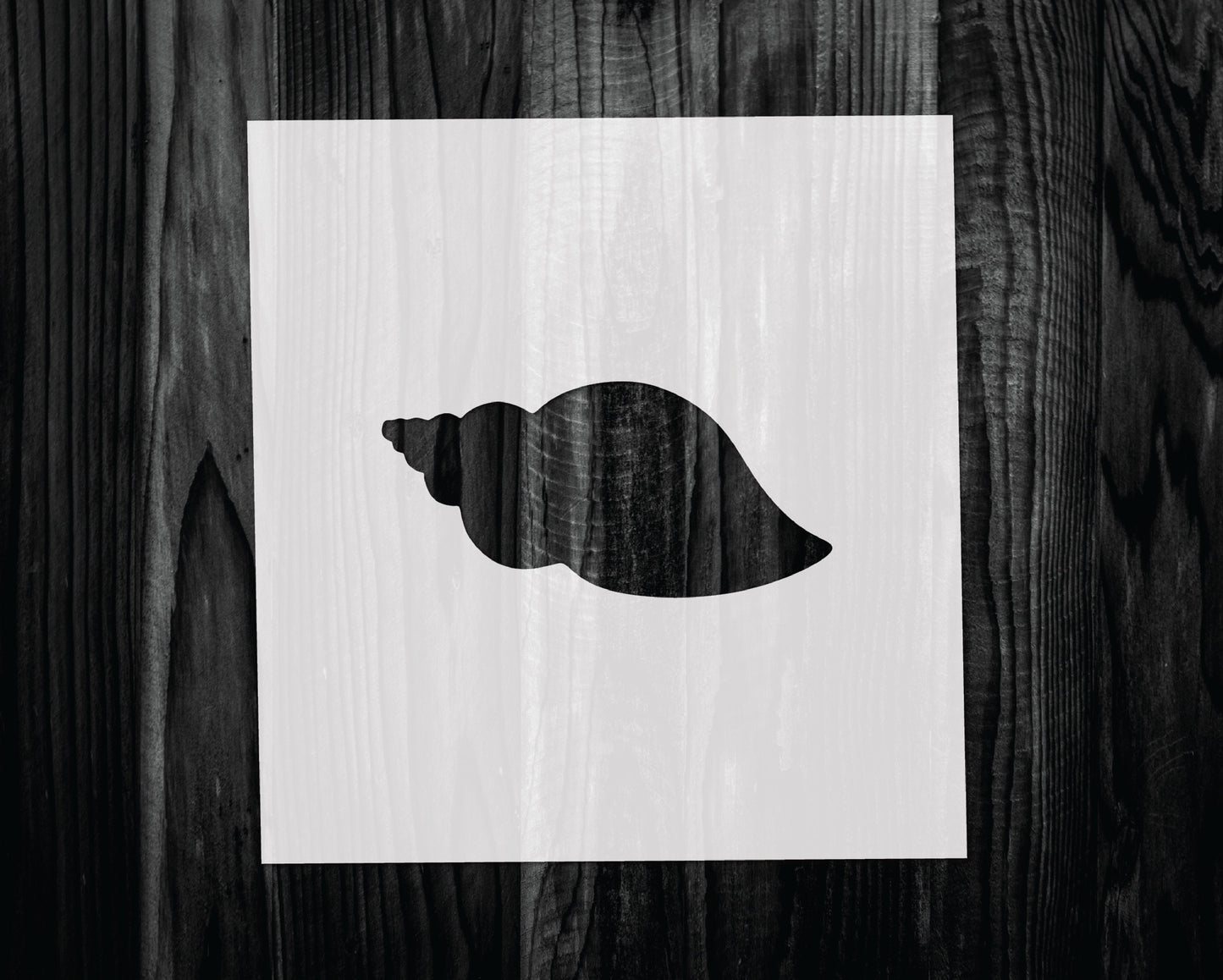 Seashell Stencil, Mylar reusable stencil, Stencil, FAST SHIPPING