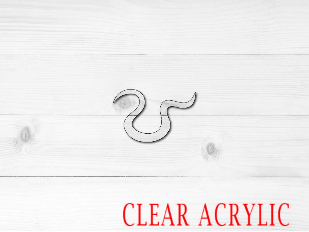 Worm Shape, Clear Acrylic Craft Blank, DIY Acrylic Blank