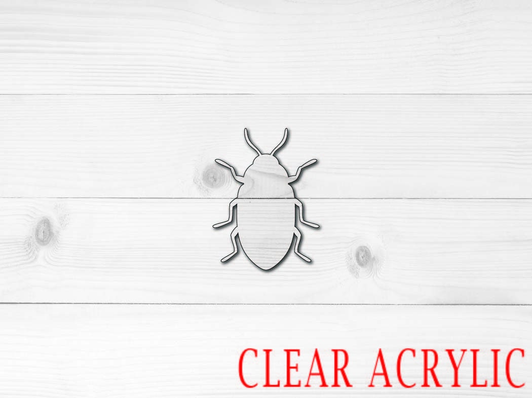 Beetle Acrylic Shape, Clear Acrylic Craft Blank, DIY Acrylic Blank