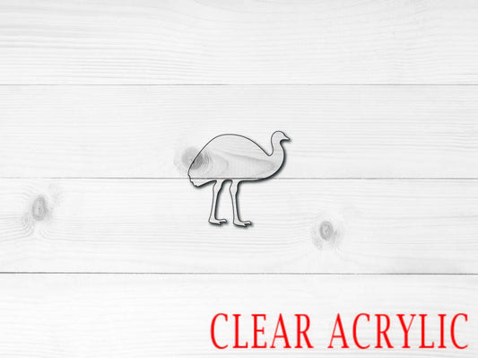 Emu Acrylic Shape, Clear Acrylic Craft Blank, DIY Acrylic Blank